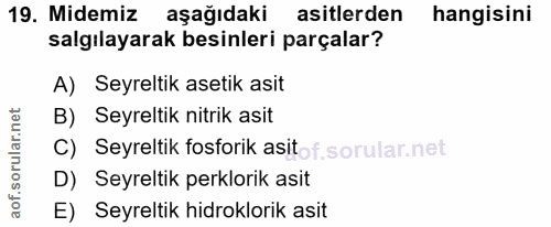 19. soru: Midemiz aşağıdaki asitlerden hangisini salgılayarak besinleri parçalar? A) Seyreltik asetik asit B) Seyreltik nitrik…
