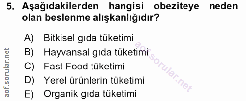 5. soru: Aşağıdakilerden hangisi obeziteye neden olan beslenme alışkanlığıdır? A) Bitkisel gıda tüketimi B) Hayvansal gıda tük…