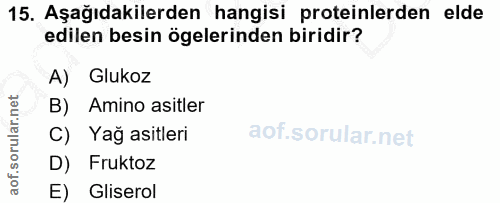 15. soru: Aşağıdakilerden hangisi proteinlerden elde edilen besin ögelerinden biridir? A) Glukoz B) Amino asitler C) Yağ asitle…