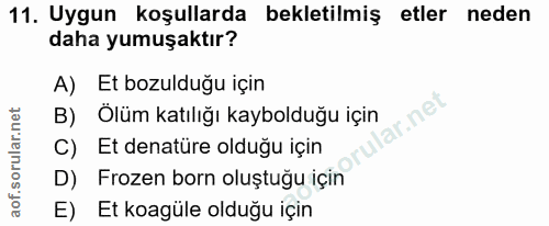11. soru: Uygun koşullarda bekletilmiş etler neden daha yumuşaktır? A) Et bozulduğu için nel B)_Ölüm katılığı kaybolduğu için C…