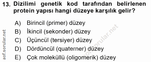 13. soru: Dizilimi genetik kod tarafından belirlenen protein yapısı hangi düzeye karşılık gelir? A) Birincil (primer) düzey B)…