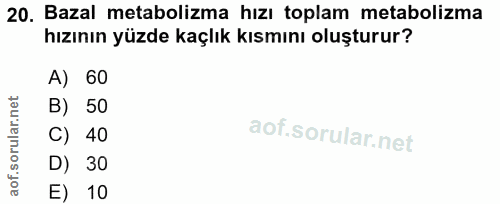 20. soru: Bazal metabolizma hızı toplam metabolizma hızının yüzde kaçlık kısmını oluşturur? A) 60 B) 50 C) 40 D) 30 E) 10