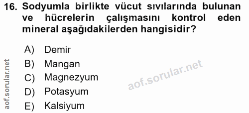 16. soru: Sodyumla birlikte vücut sıvılarında bulunan ve hücrelerin çalışmasını kontrol eden mineral aşağıdakilerden hangisidir…