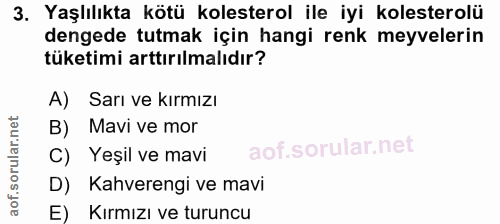 3. soru: Yaşlılıkta kötü kolesterol ile iyi kolesterolü dengede tutmak için hangi renk meyvelerin tüketimi arttırılmalıdır? A)…