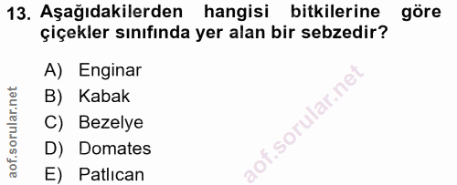 13. soru: Aşağıdakilerden hangisi bitkilerine göre çiçekler sınıfında yer alan bir sebzedir? A) Enginar B) Kabak •sorular.ne C)…