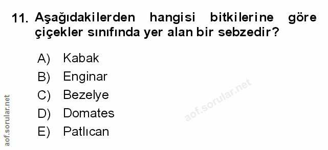 11. soru: Aşağıdakilerden hangisi bitkilerine göre çiçekler sınıfında yer alan bir sebzedir? A) Kabak B) Enginar C) Bezelye D)…