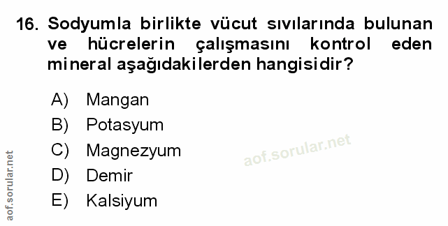 16. soru: Sodyumla birlikte vücut sıvılarında bulunan ve hücrelerin çalışmasını kontrol eden mineral aşağıdakilerden hangisidir…