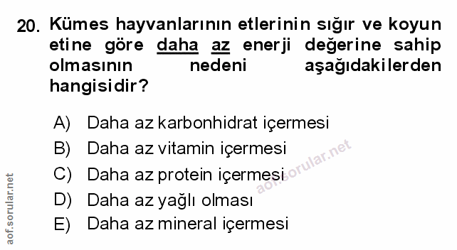 20. soru: Kümes hayvanlarının etlerinin sığır ve koyun etine göre daha az enerji değerine sahip olmasının nedeni aşağıdakilerde…