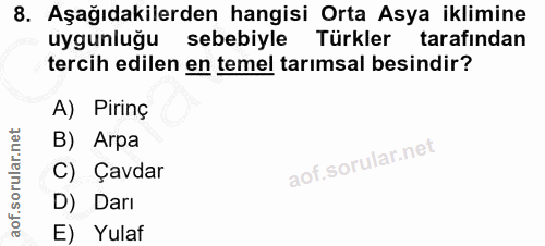 8. soru: Aşağıdakilerden hangisi Orta Asya iklimine uygunluğu sebebiyle Türkler tarafindan tercih edilen en temel tarımsal bes…