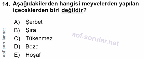 14. soru: Aşağıdakilerden hangisi meyvelerden yapılan içeceklerden biri değildir? A) Şerbet B) Şıra C) Tükenmez D) Boza E) Hoşaf