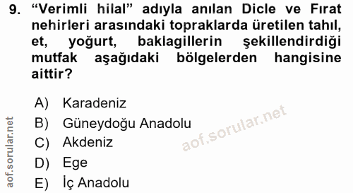 9. soru: "Verimli hilal" adıyla anılan Dicle ve Firat nehirleri arasındaki topraklarda üretilen tahıl, et, yoğurt, baklagiller…
