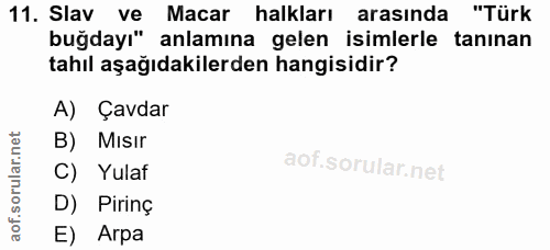 11. soru: Slav ve Macar halkları arasında "Türk buğdayı" anlamına gelen isimlerle tanınan tahıl aşağıdakilerden hangisidir? A)…