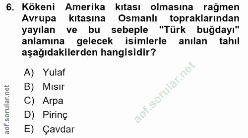 6. soru: Kökeni Amerika kıtası olmasına ragmen Avrupa kıtasına Osmanlı topraklarından yayılan ve bu sebeple "Türk buğdayı" anl…