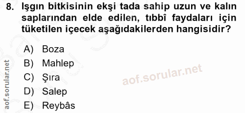 8. soru: Işgın bitkisinin ekşi tada sahip uzun ve kalın saplarından elde edilen, tıbbî faydaları için tüketilen içecek aşağıda…