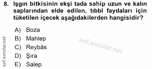 8. soru: Işgın bitkisinin ekşi tada sahip uzun ve kalın saplarından elde edilen, tıbbî faydaları için tüketilen içecek aşağıda…