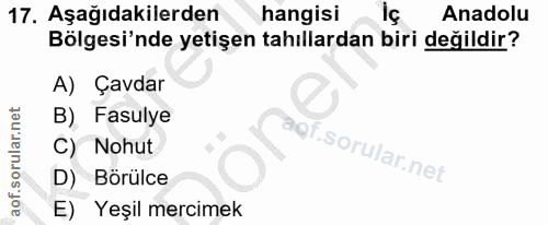 17. soru: Aşağıdakilerden hangisi Anadolu Bölgesi'nde yetişen tahıllardan biri değildir? A) Çavdar B) Fasulye C) Nohut f. D) Bö…
