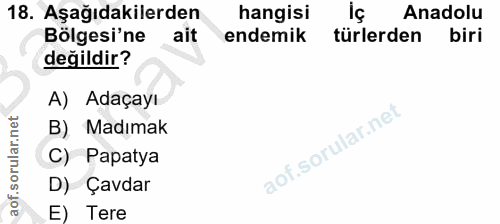 18. soru: Aşağıdakilerden hangisi Anadolu Bölgesi'ne ait endemik türlerden biri değildir? A) Adaçayı B) Madımak C) Papatya D) Ç…