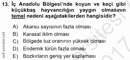 13. soru: Iç Anadolu Bölgesi'nde koyun ve keçi gibi küçükbaş hayvancılığın yaygın olmasının temel nedeni aşağıdakilerden hangis…