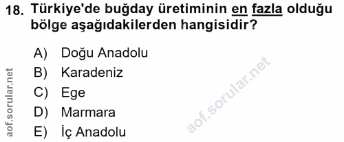 18. soru: Türkiye'de buğday üretiminin en fazla olduğu bölge aşağıdakilerden hangisidir? A) Doğu Anadolu B) Karadeniz C) Ege D)…