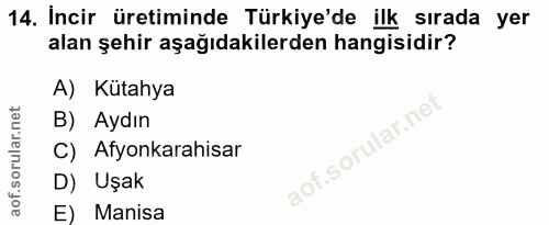 14. soru: Incir üretiminde Türkiye'de ilk sırada yer alan şehir aşağıdakilerden hangisidir? A) Kütahya B) Aydın C) Afyonkarahis…