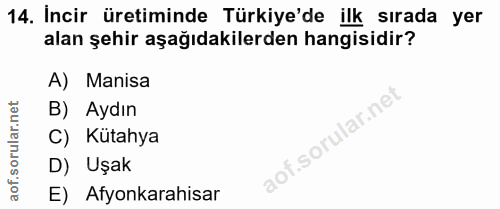 14. soru: İncir üretiminde Türkiye'de ilk sırada yer alan şehir aşağıdakilerden hangisidir? A) Manisa B) Aydın C) Kütahya D) Uş…