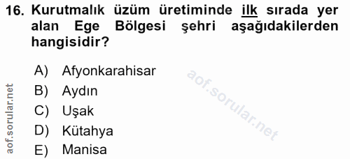 16. soru: Kurutmalık üzüm üretiminde ilk sırada yer alan Ege Bölgesi şehri aşağıdakilerden hangisidir? A) Afyonkarahisar B) Ayd…