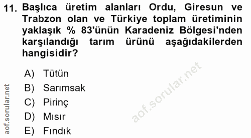 11. soru: Başlıca üretim alanları Ordu, Giresun ve Trabzon olan ve Türkiye toplam üretiminin yaklaşık % 83'ünün Karadeniz Bölge…