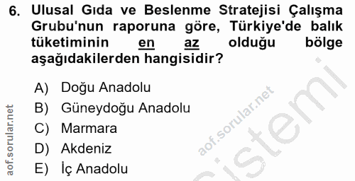 6. soru: Ulusal Gıda ve Beslenme Stratejisi Çalışma Grubu'nun raporuna göre, Türkiye'de balık tüketiminin en az olduğu bölge a…