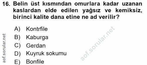 16. soru: Belin üst kısmından omurlara kadar uzanan kaslardan elde edilen yağsız ve kemiksiz, birinci kalite dana etine ne ad v…