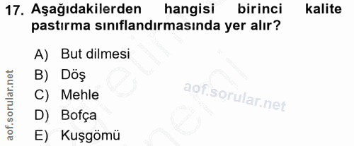 17. soru: Aşağıdakilerden hangisi birinci kalite pastırma sınıflandırmasında yer alır? A) But dilmesi B) Döş C) Mehle D) Bofça…