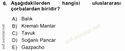 6. soru: Aşağıdakilerden hangisi uluslararası çorbalardan biridir? A) Balık B) Kremalı Mantar C) Tavuk D) Soğanlı Pancar E) Ga…