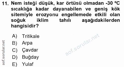 11. soru: Nem isteği düşük, kar örtüsü olmadan -30 °C sıcaklığa kadar dayanabilen ve geniş kök sitemiyle erozyonu engellemede e…