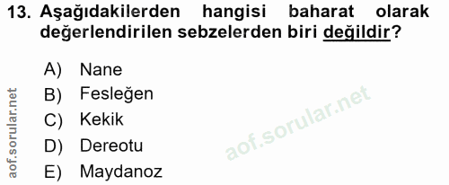 13. soru: Aşağıdakilerden hangisi baharat olarak değerlendirilen sebzelerden biri değildir? A) Nane B) Fesleğen C) Kekik D) Der…