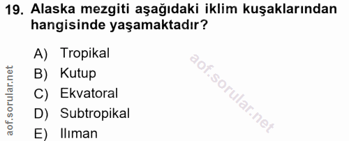 19. soru: Alaska mezgiti aşağıdaki iklim kuşaklarından hangisinde yaşamaktadır? A) Tropikal B) Kutup C) Ekvatoral D) Subtropika…