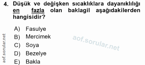 4. soru: Düşük ve değişken sıcaklıklara dayanıklılığı en fazla olan baklagil aşağıdakilerden hangisidir? A) Fasulye B) Mercime…