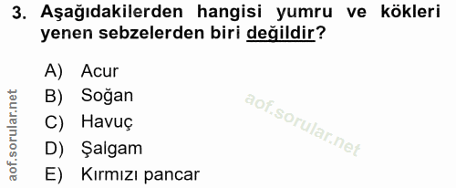 3. soru: Aşağıdakilerden hangisi yumru ve kökleri yenen sebzelerden biri değildir? A) Acur B) Soğan C) Havuç D) Şalgam E) Kırm…
