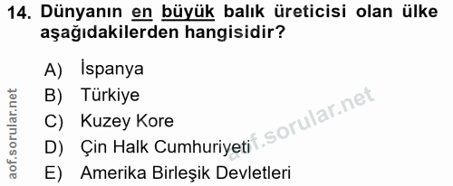 14. soru: Dünyanın en büyük balık üreticisi olan ülke aşağıdakilerden hangisidir? A) Ispanya B) Türkiye D) Çin Halk Cumhuriyeti…