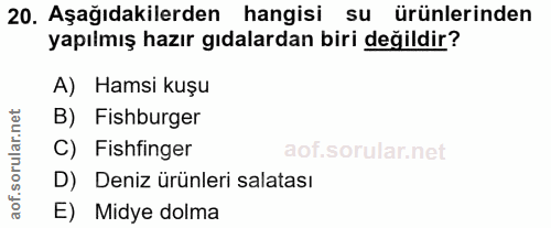 20. soru: Aşağıdakilerden hangisi su ürünlerinden yapılmış hazır gıdalardan biri değildir? A) Hamsi kuşu B) Fishburger C) Fishf…