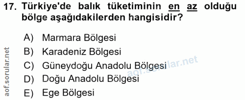 17. soru: Türkiye'de balık tüketiminin en az olduğu bölge aşağıdakilerden hangisidir? A) Marmara Bolgesi B) Karadeniz Bölgesi C…