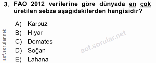 3. soru: FAO 2012 verilerine göre dünyada en çok üretilen sebze aşağıdakilerden hangisidir? A) Karpuz B) Hıyar C) Domates D) S…