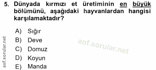 5. soru: Dünyada kırmızı et üretiminin en büyük bölümünü, aşağıdaki hayvanlardan hangisi karşılamaktadır? A) Sığır B) Deve C)…
