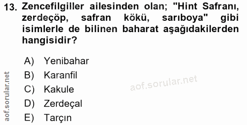 13. soru: Zencefilgiller ailesinden olan; "Hint Safranı, zerdeçöp, safran kökü, sarıboya" gibi isimlerle de bilinen baharat aşa…