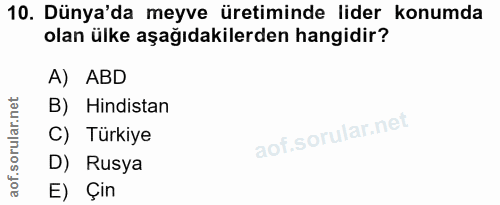 10. soru: Dünya'da meyve üretiminde lider konumda olan ülke aşağıdakilerden hangidir? A) ABD B) Hindistan C) Türkiye D) Rusya E…