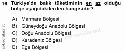 16. soru: Türkiye'de balık tüketiminin en az olduğu bölge aşağıdakilerden hangisidir? A) Marmara Bolgesi B) Güneydoğu Anadolu B…
