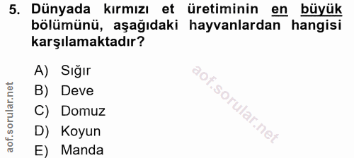 5. soru: Dünyada kırmızı et üretiminin en büyük bölümünü, aşağıdaki hayvanlardan hangisi karşılamaktadır? A) Sığır B) Deve C)…