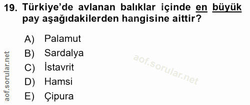 19. soru: Türkiye'de avlanan balıklar içinde en büyük pay aşağıdakilerden hangisine aittir? A) Palamut B) Sardalya C) Istavrit…