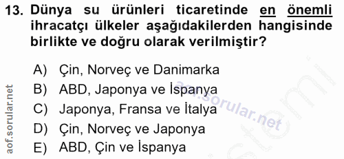 13. soru: Dünya su ürünleri ticaretinde en önemli ihracatçı ülkeler aşağıdakilerden hangisinde birlikte ve doğru olarak verilmi…
