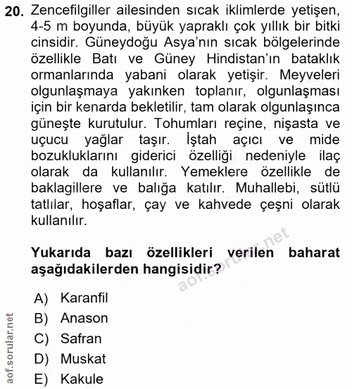 20. soru: Zencefilgiller ailesinden sıcak iklimlerde yetişen, 4-5 m boyunda, büyük yapraklı çok yıllık bir bitki cinsidir. Güne…