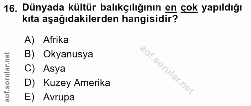 16. soru: Dünyada kültür balıkçılığının en çok yapıldığı kıta aşağıdakilerden hangisidir? A) Afrika rular.net B) Okyanusya C) A…