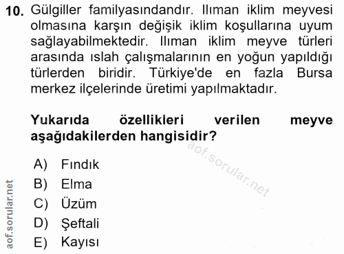 10. soru: Gülgiller familyasındandır. Ilıman iklim meyvesi olmasına karşın değişik iklim koşullarına uyum sağlayabilmektedir. I…